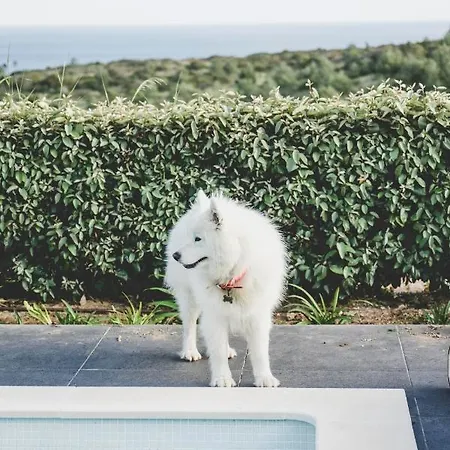 Casa Tropical Kwatera prywatna Budens